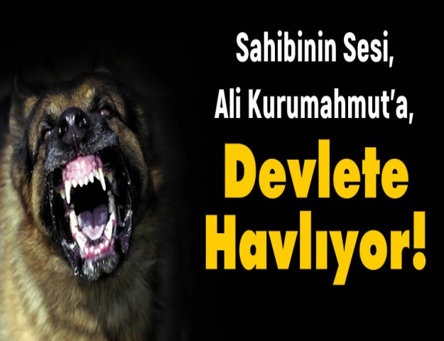 Sahibinin Sesi, Ali Kurumahmut'a Şimdi de Devlete Havlıyor