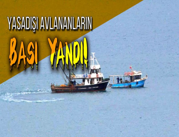 Yasadışı Avlananların Başı Yandı!