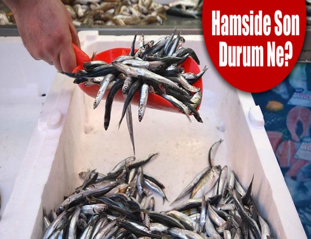 Hamside Son Durum Ne?