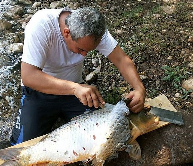 10 kiloluk balık Çayda yakalandı