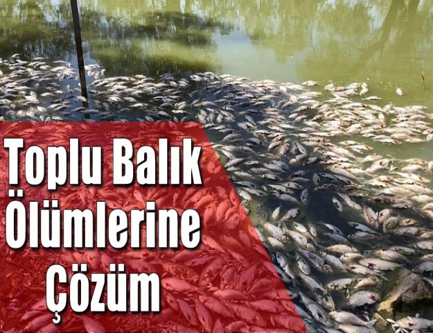 Toplu Balık Ölümlerine Çözüm