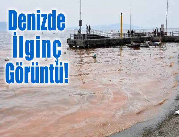 Denizde İlginç Görüntü