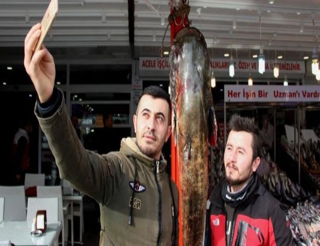 Samsun'da 2 metre 30 santimlik Yayın Balığı Yakalandı