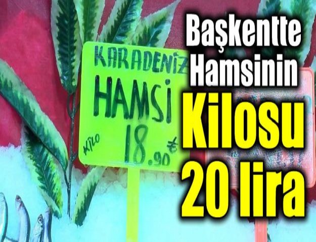 Başkentte Hamsinin Kilosu 20 lira