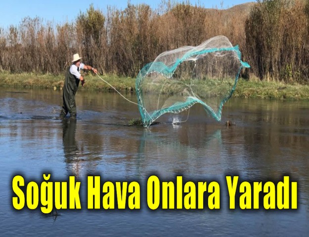 Soğuk Hava Onlara Yaradı