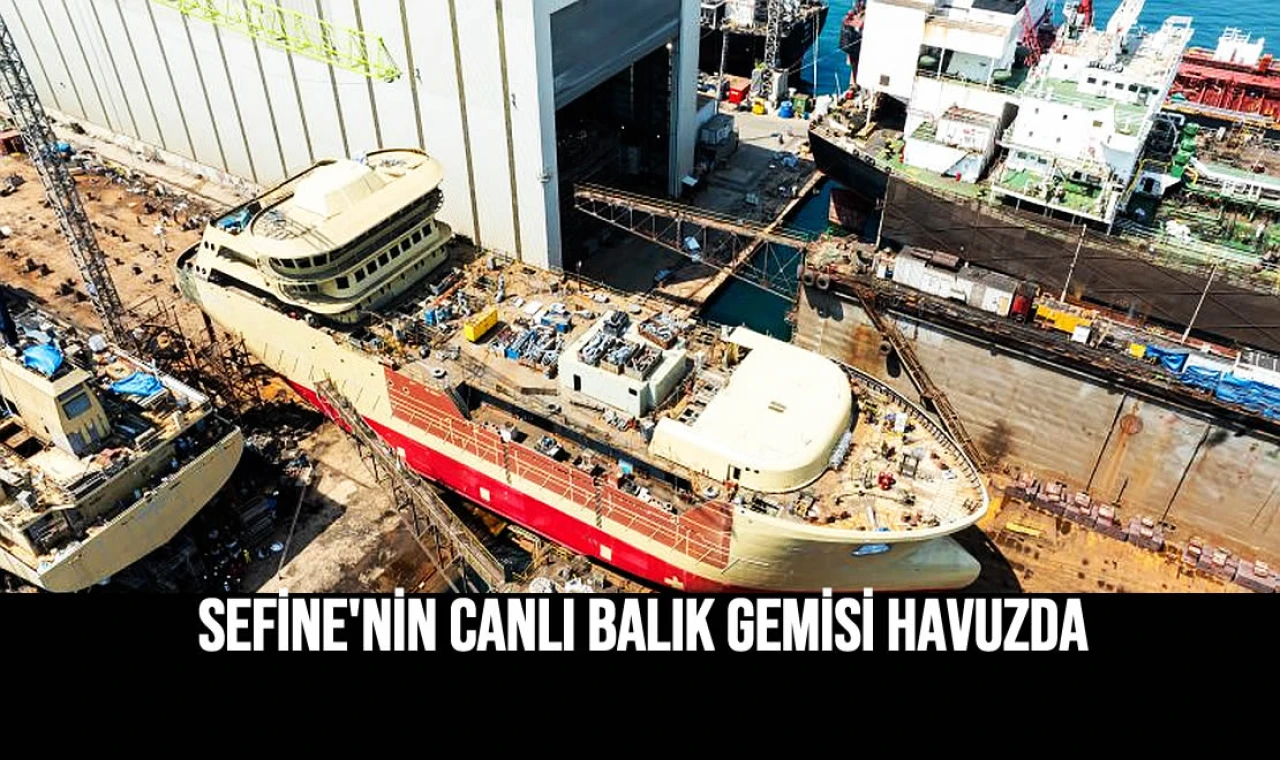 Canlı Balık gemisi havuzda