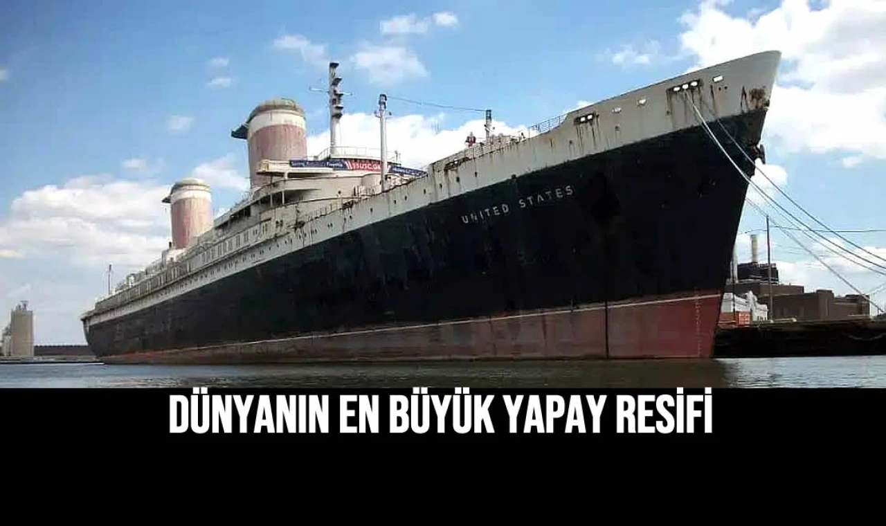 Dünyanın en büyük yapay resifi olacak