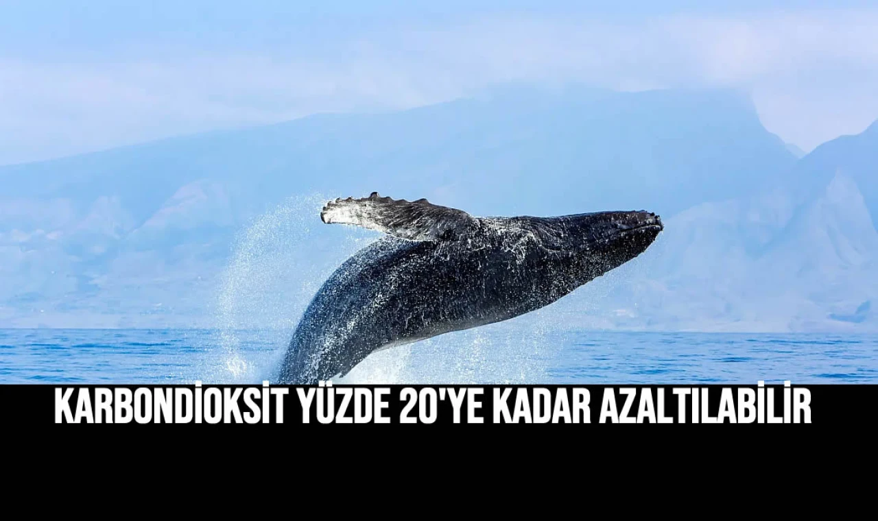 Karbondioksit yüzde 20'ye kadar azaltılabilir