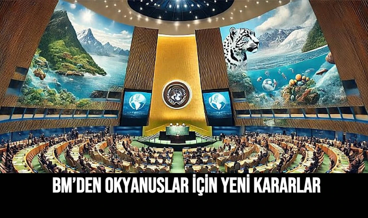 BM’DEN OKYANUSLAR İÇİN YENİ KARARLAR