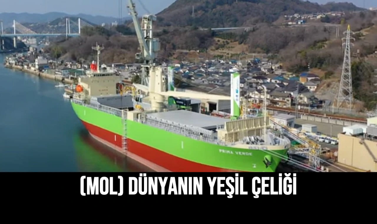 (MOL) Dünyanın Yeşil Çeliği