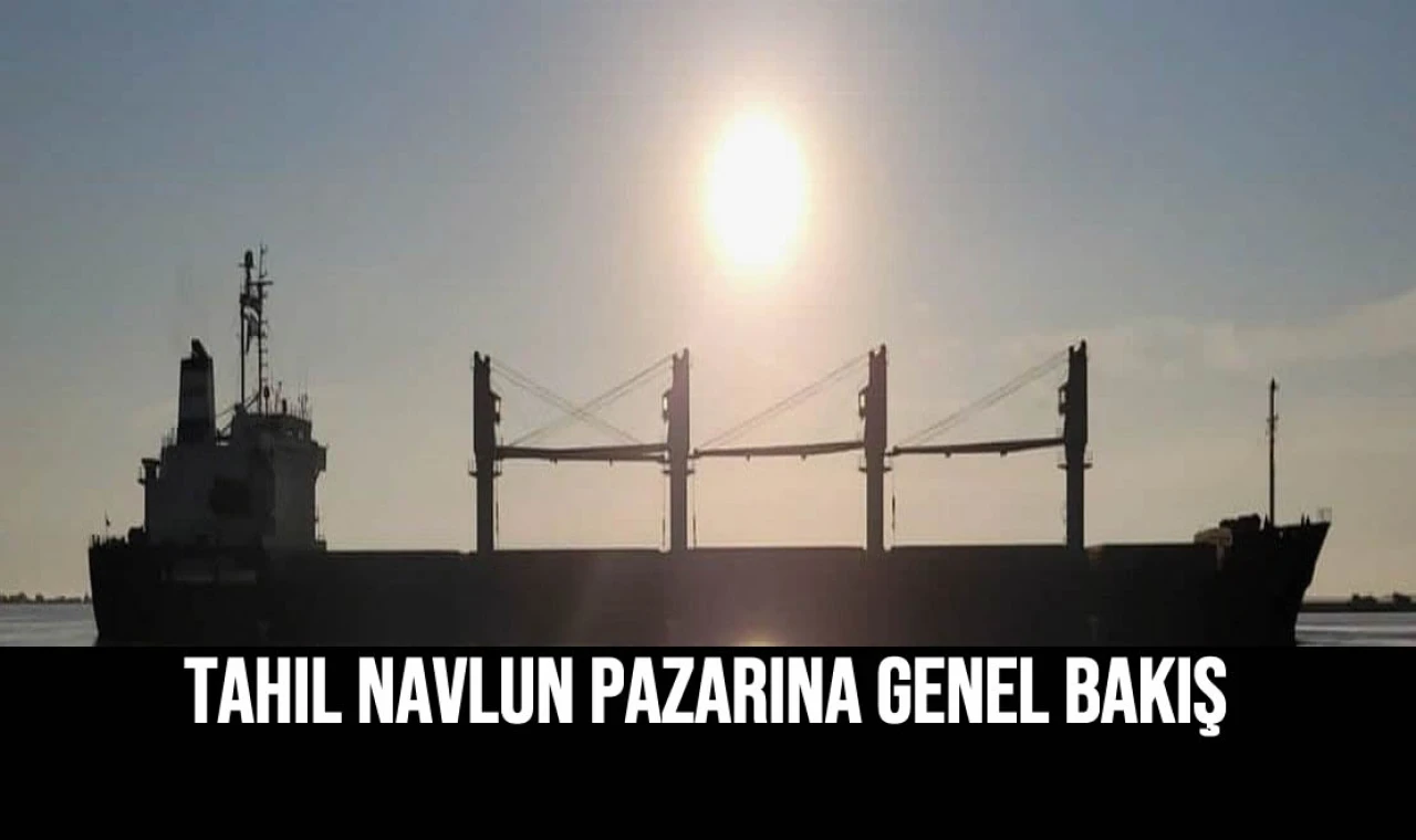 Tahıl Navlun Pazarına Genel Bakış