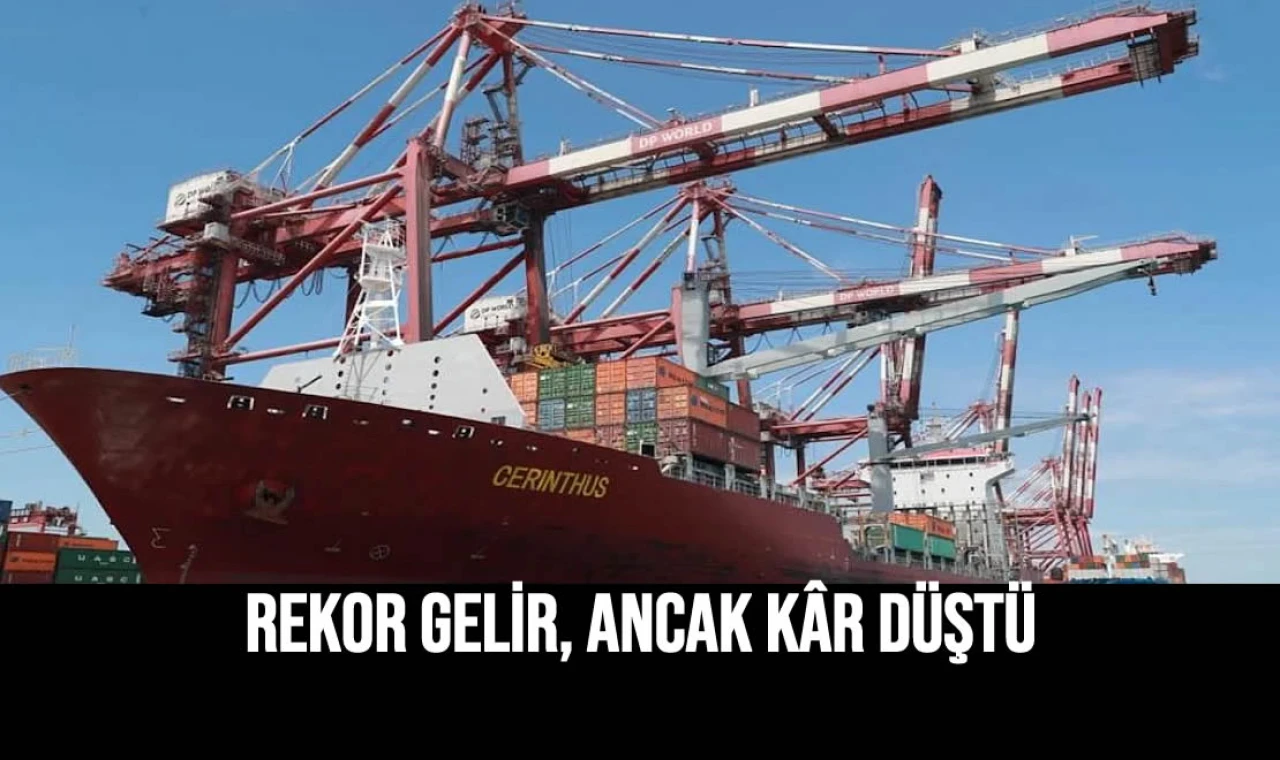 Rekor Gelir, Ancak Kâr Düştü