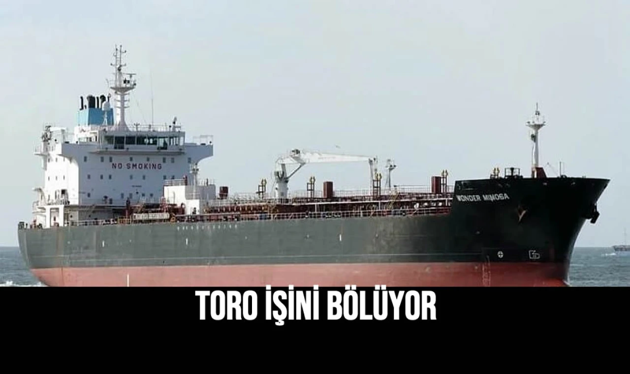 Toro işini bölüyor