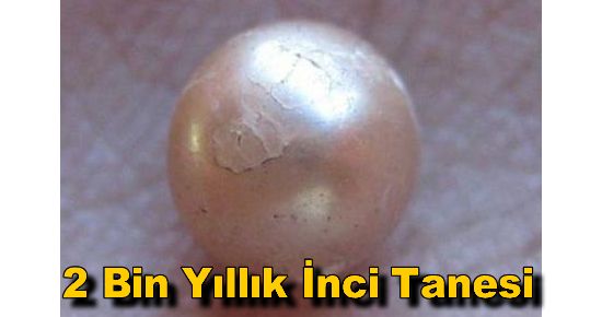 2 Bin Yıllık İnci Tanesi