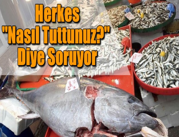 Herkes ''Nasıl Tuttunuz?'' Diye Soruyor