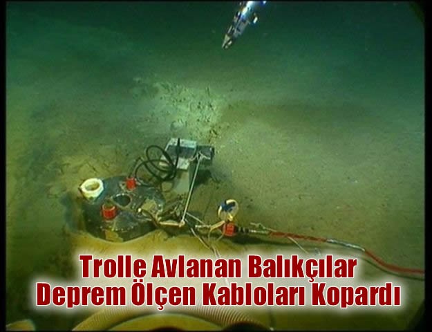 Trolle Avlanan Balıkçılar Deprem Ölçen Kabloları Kopardı