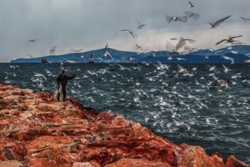 Mersin'deki ulusal fotoğraf yarışması sona erdi