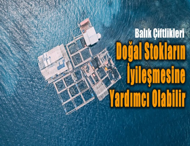 Balık Çiftlikleri Doğal Stokların İyileşmesine Yardımcı Olabilir