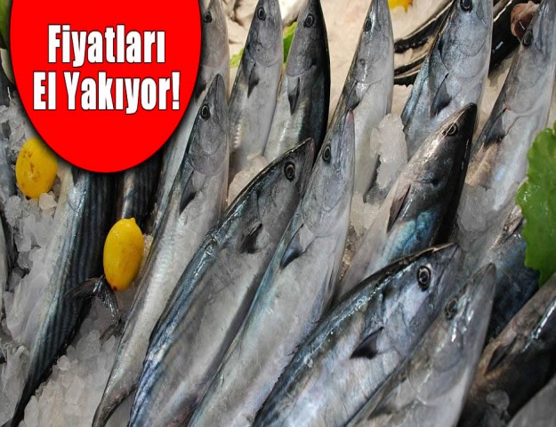 Fiyatları El Yakıyor!