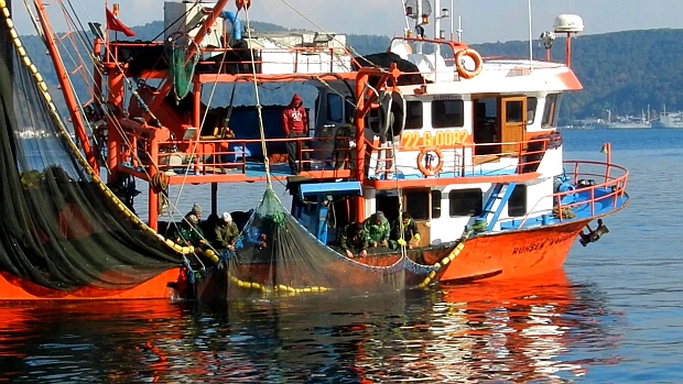 İskele önündeki balıkçılar tehlike yaratıyor