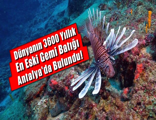 Dünyanın 3600 Yıllık En Eski Gemi Batığı Antalya'da Bulundu!