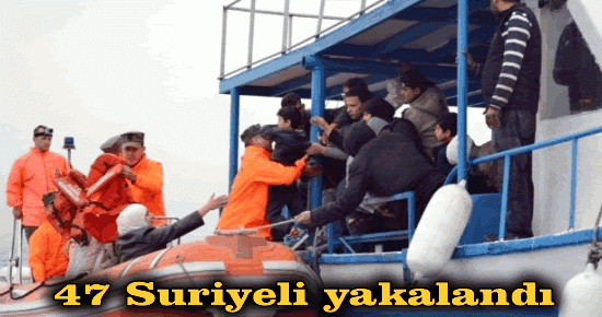 47 Suriyeli yakalandı