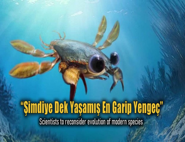 “Şimdiye Dek Yaşamış En Garip Yengeç”