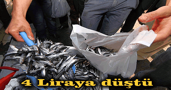 4 Liraya düştü