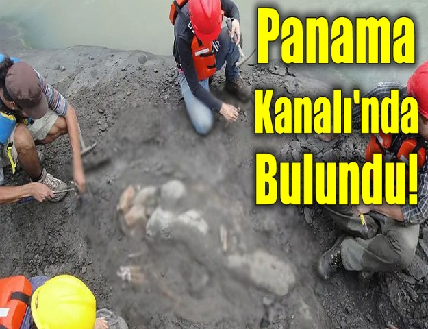 Panama Kanalı'nda Bulundu