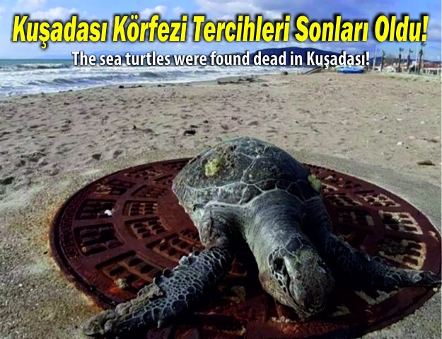 Kuşadası Körfezi Tercihleri Sonları Oldu!