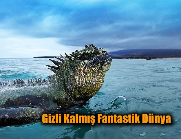 Gizli Kalmış Fantastik Dünya