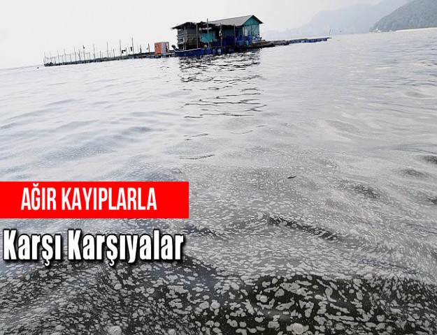 Ağır Kayıplarla Karşı Karşıyalar