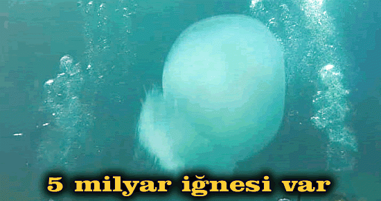 5 Milyar iğnesi var