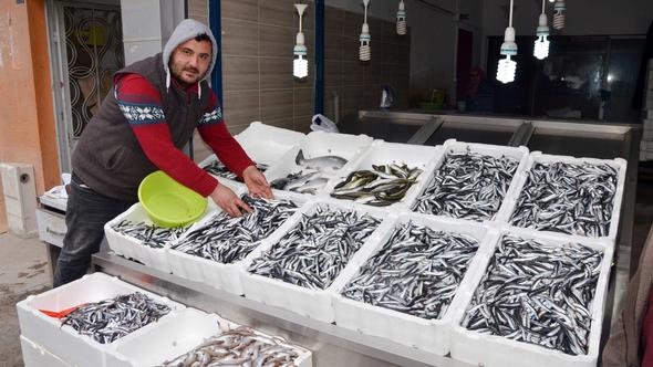 Karadeniz'e balık Gürcistandan