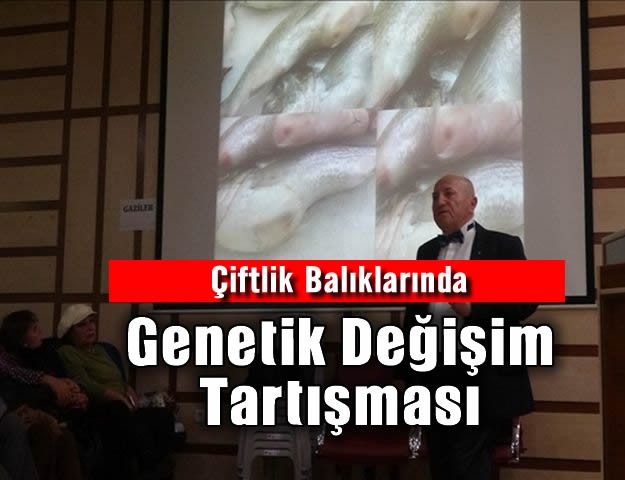 Çiftlik Balıklarında Genetik Değişim Tartışması