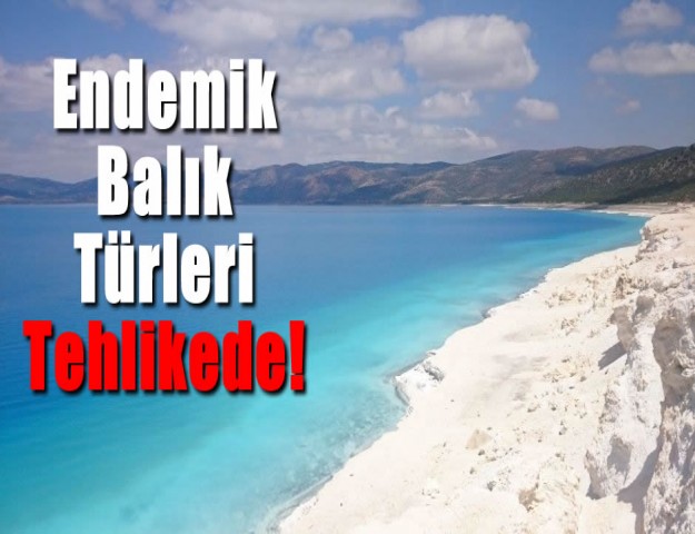 Endemik Balık Türleri Tehlikede