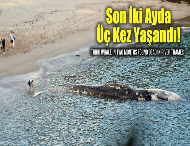 Son İki Ayda Üç Kez Yaşandı!