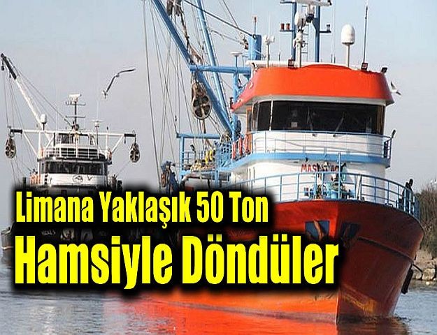 Limana yaklaşık 50 ton hamsiyle döndüler