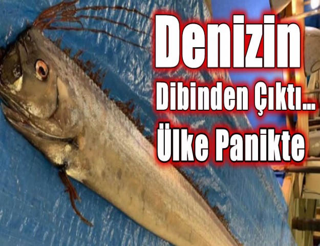 Denizin Dibinden Çıktı… Ülke Panikte