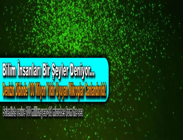 Bilim İnsanları Bir Şeyler Deniyor: Denizin Dibinde 100 Milyon Yıldır Uyuyan Mikroplar Canlandırıldı