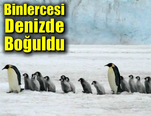 Binlercesi Denizde Boğuldu