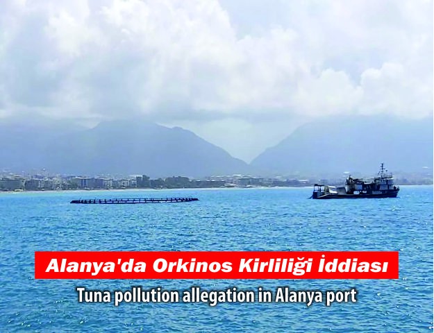 Alanya'da Orkinos Kirliliği İddiası