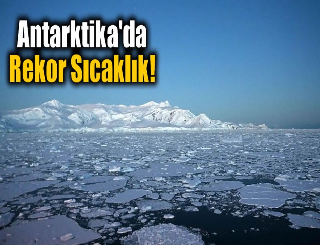 Antarktika'da Rekor Sıcaklık!