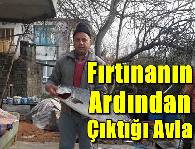 Fırtınanın Ardından Çıktığı Avla