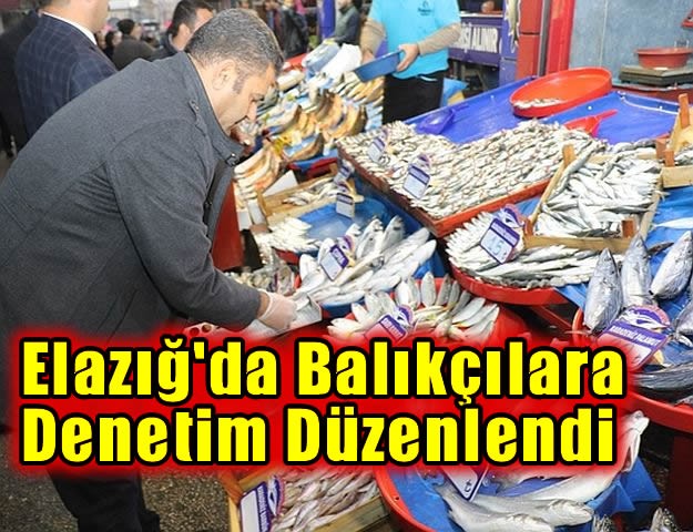 Elazığ'da balıkçılara denetim..