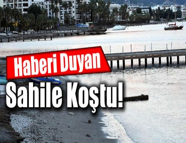 Haberi Duyan Sahile Koştu!