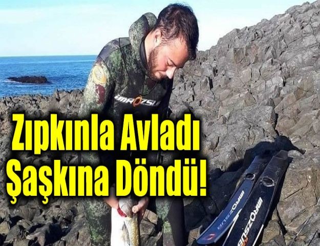 Zıpkınla avladı, şaşkına döndü!