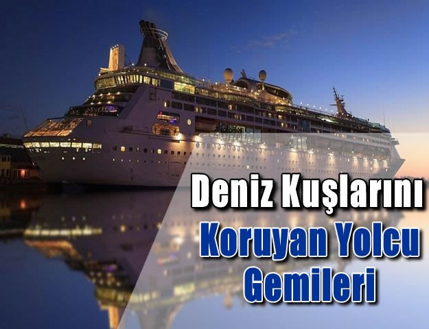 Deniz Kuşlarını Koruyan Yolcu Gemileri