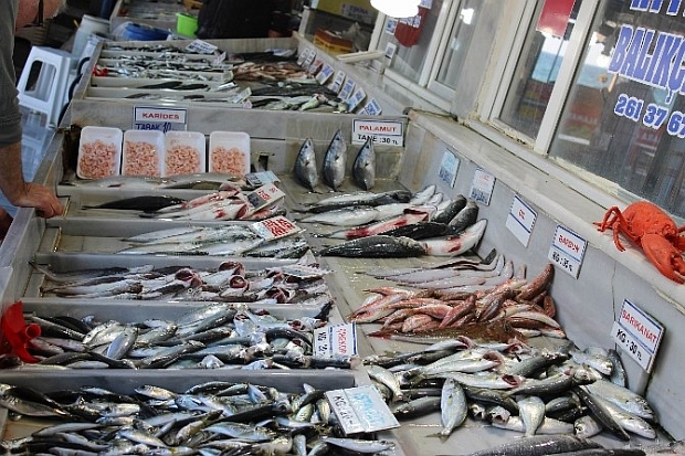 Tekirdağ'da balık tezgahları doldu