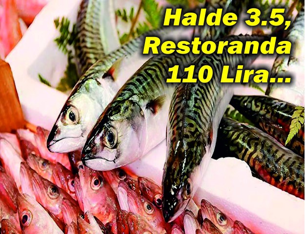 Halde 3.5, Restoranda 110 Lira...